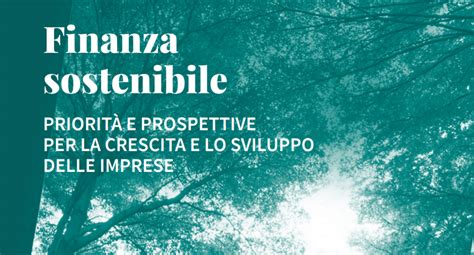 La Finanza Sostenibile Per Le PMI I Modelli Da Adottare PMI It