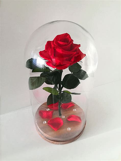 Роскошная стабилизированная Роза в колбе. | Forever rose, Enchanted ...