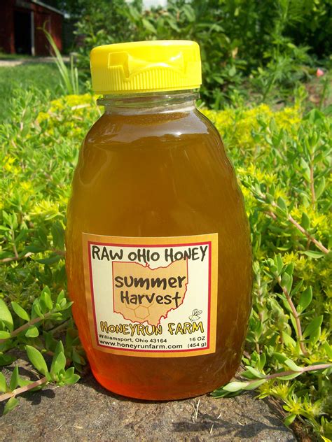 Pure Raw Summer Honey 16 Ounce Jar — Honeyrun Farm