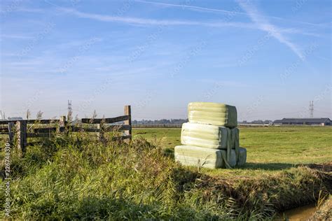 Six bales of hay, silage bales, wrapped in light green plastic stacked ...