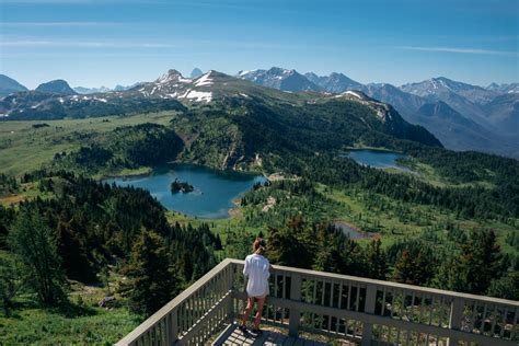 Hiking Sunshine Meadows in Banff: Your Guide - Endless Wonder