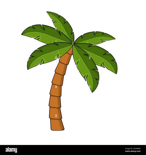 Palm Tree Cartoon Isolated On White Single Palm Clipart Template For