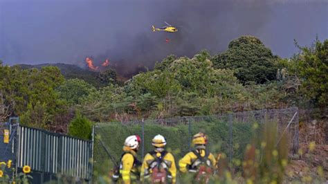 Canarias pide subir a nivel 2 el incendio de Tenerife y la intervención