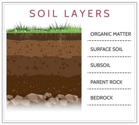 Layers of Soil: Composition and Their Importance - AAAKSC