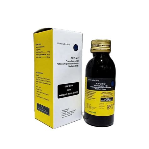 Prome Syrup 100ml Interbatcough Medicine Shopee Philippines