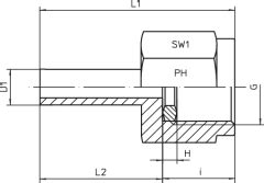 PH Industrie Hydraulik BSP Female Parallel OMD