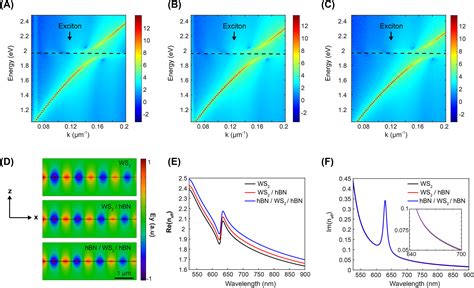 The Impact Of Hbn Layers On Guided Excitonpolariton Modes In Ws