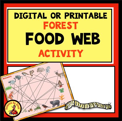 Digital or Printable Interactive Food Web Activity- Build a Forest Web ...