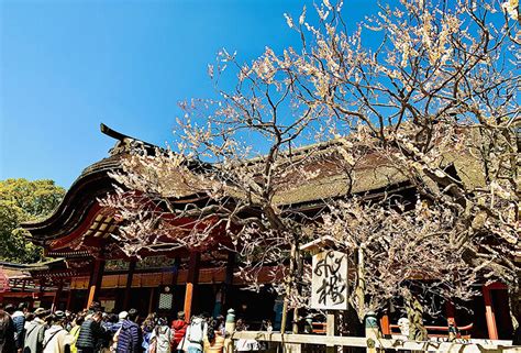 太宰府天満宮 天満宮・天神社の総本社 学問の神 Found Japan（ファウンド・ジャパン）