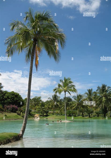 Las Aguas De Moises Aguas Termales Estado Sucre Venezuela Fotografía