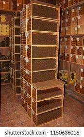 Big Commercial Cigar Humidor Many Handmade Stock Photo (Edit Now ...