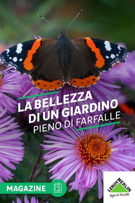 Piante Che Attirano Le Farfalle Quali Sono Giardino Delle Farfalle