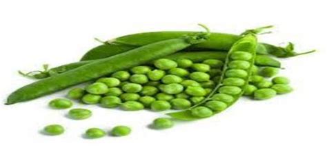 A Grade Maharashtra Green Peas Gunny Bag Kg At Rs Kg In Raipur