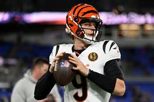 Final score predictions for Bengals vs. Bills in Week 14