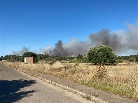 Incendio Nelle Campagne Di Villacidro Interviene Anche Un Elicottero