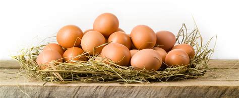 Everything Worth Knowing About Chicken Eggs - Backyard Poultry