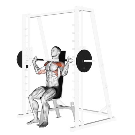 Développé épaules à la Smith Machine Comment et Pourquoi faire le