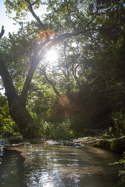 Floresta Cachoeira Fluxo De Foto Gratuita No Pixabay Pixabay