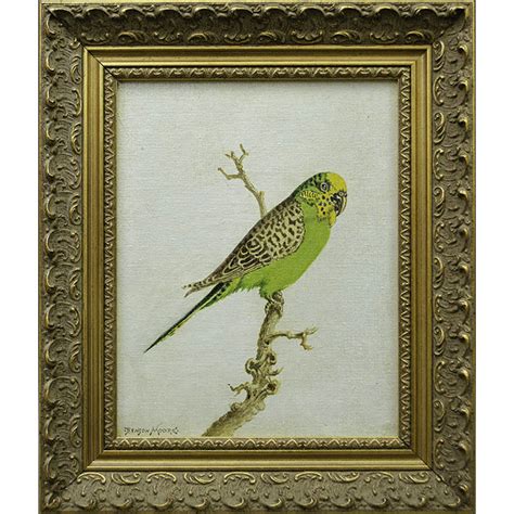 Bird, Art, Parrots, Wild Parakeet, Sarasota, Florida, Benson Bond Moore ...