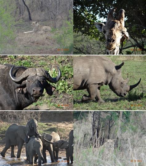 Hluhluwe Umfolozi Game Reserve 3 Day Durban Safari Tour 4 6 October