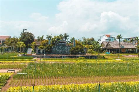 Tra Que Vegetable Village Hoi An All You Need To Know