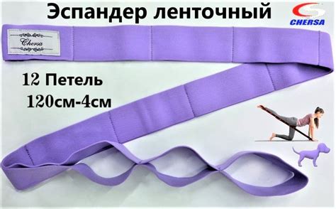Спортивная резинка с 12-делениями замкнутая Chersa - купить в интернет ...