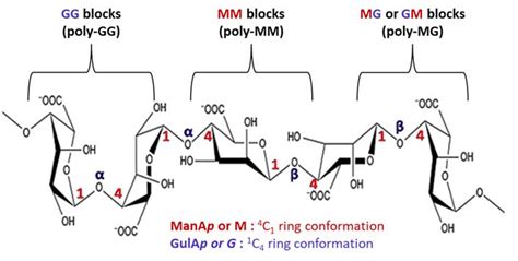 Chemical Structure Of Alginate Download Scientific Diagram