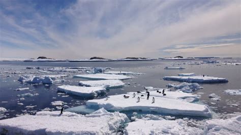 Une étude Confirme La Fonte Exceptionnelle De La Banquise Antarctique