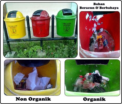 Contoh Gambar Sampah Organik Dan Anorganik Cabai