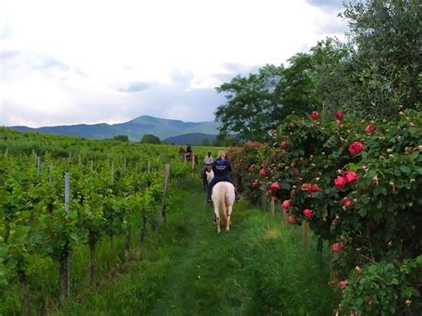 Passeggiate A Cavallo Franciacorta A Partire Da Freedome