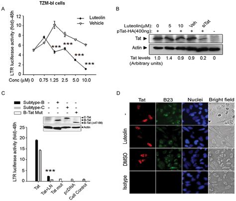 Luteolin Inhibited Clade B And C Tat Mediated Ltr Transactivation In