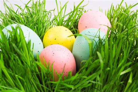 Pastel Decorated Painted Eggs In Green Grass Easter Hunt Concept Stock