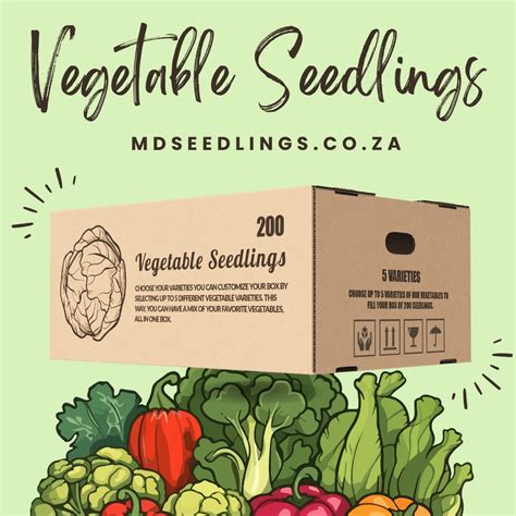 Vegetable Seedlings Buy Online Delivered Nationwide Martin Dale