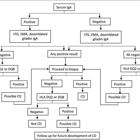 Celiac Disease Diagnostic Testing Algorithm Adopted From Mayo Medical