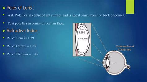 Anatomy And Physiology Of Human Eye Lens Ppt