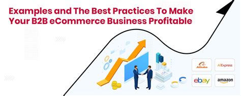 B2b Ecommerce Examples And Best Practices To Make It Profitable