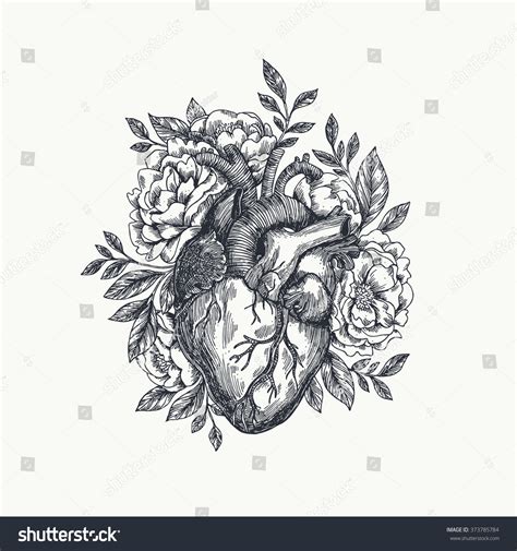 Valentines Day Card Anatomical Heart Flowers Stock Vector (Royalty Free ...