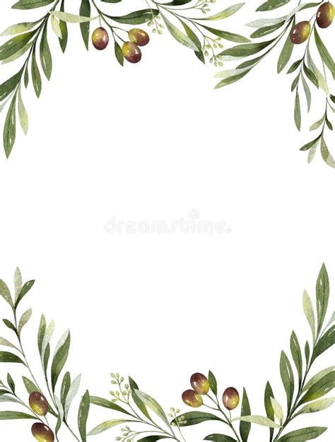 Watercolor Vector Frame Of Olive Branches And Leaves Stock Vector