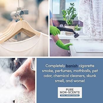 how to get rid of skunk smell in car