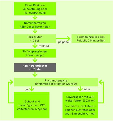 Reanimation Kardiovaskul Res Manual