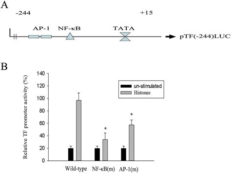 Extracellular Histones Induce Tissue Factor Expression In Vascular