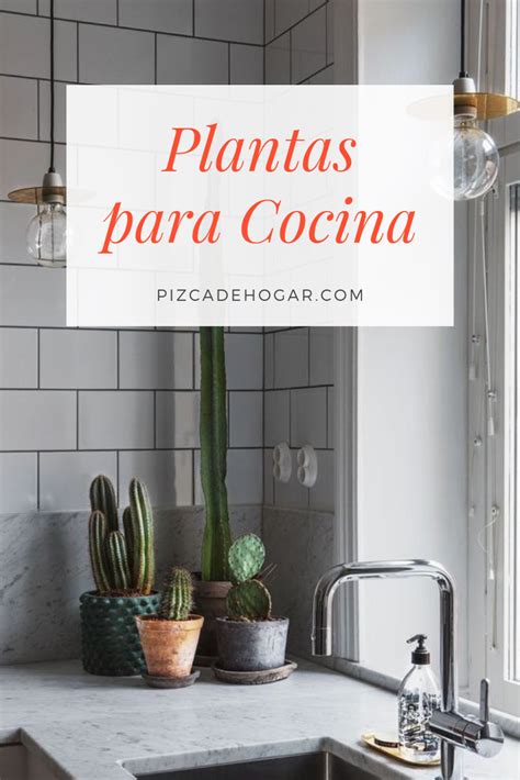 Plantas Ideales Para Decorar La Cocina Plantas Para Cocina