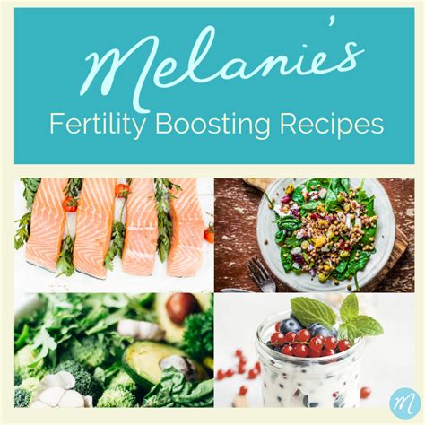 Melanie S Fertility Boosting Recipe E Book Melanie Mcgrice