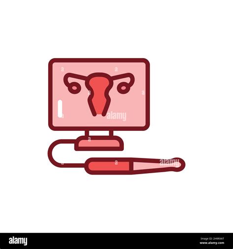 Ultrasonic Diagnostic Female Reproductive System Line Icon Outline