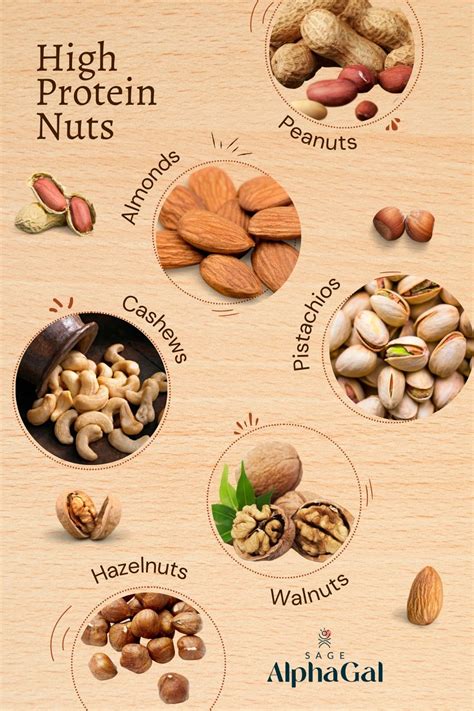 High Protein Nuts Your Ultimate Snacking Guide