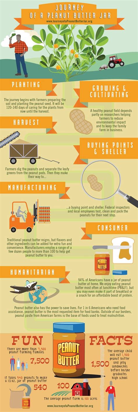 Journey Of A Peanut Butter Jar Infographic Peanut Butter Jar Peanut