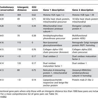 Evolutionary conserved gene pairs. | Download Table 