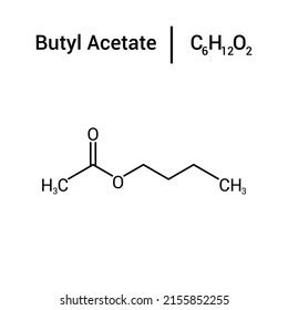 Glutamic Acid Amino Acid Formula Structure Stock Vector (Royalty Free) 2286899799 | Shutterstock