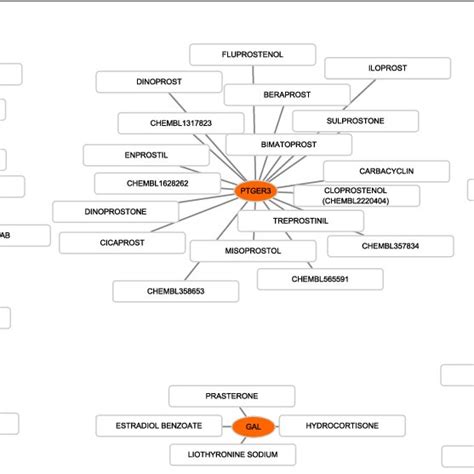 Drug Gene Interaction Diagram Yellow Circle Indicates The Related Hub