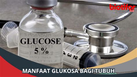 Manfaat Glukosa bagi Tubuh | Dampak Positif dan Negatifnya - Biotifor